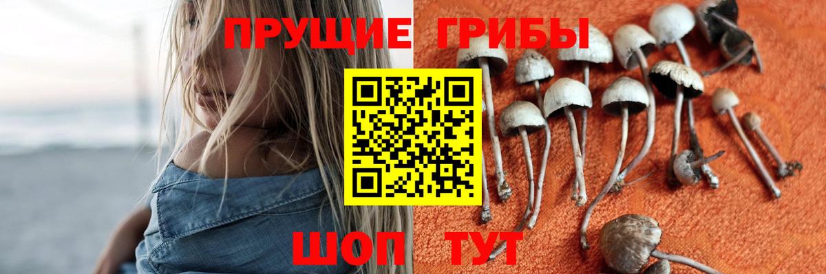 Псилоцибиновые грибы мухоморы  Псилоцибиновые грибы ЛСД  Вход с VPN  купить наркоту  Партизанск 